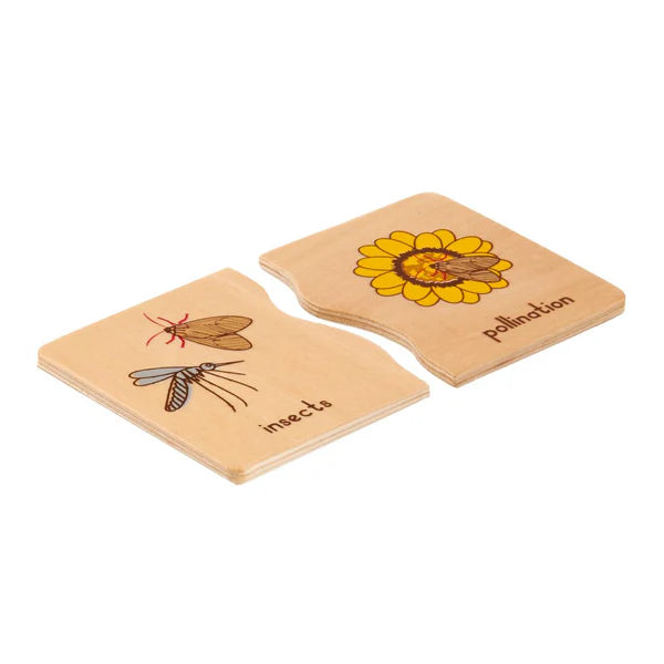 Vr/Animal Use Matching