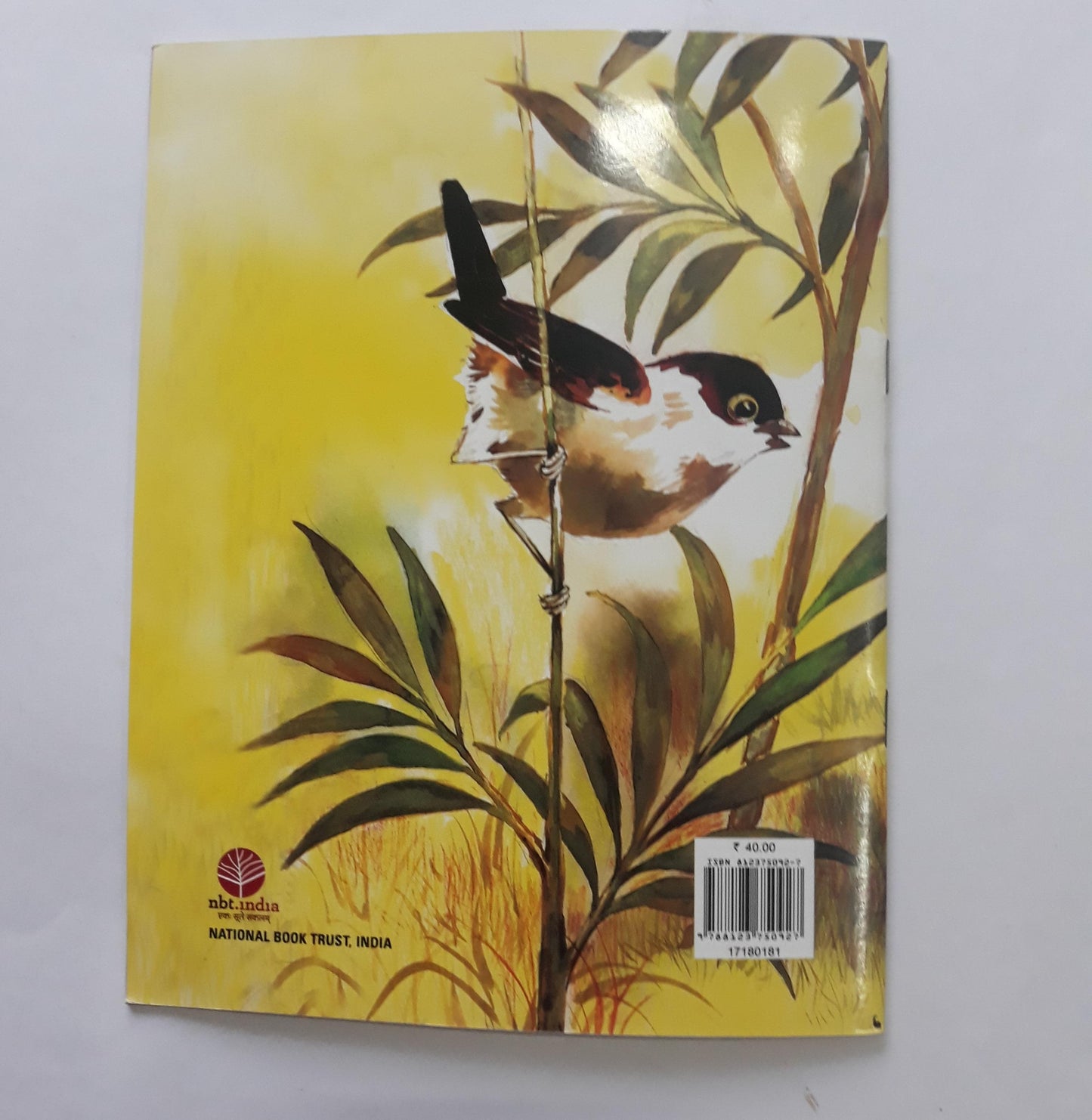 Fuku an Alien English