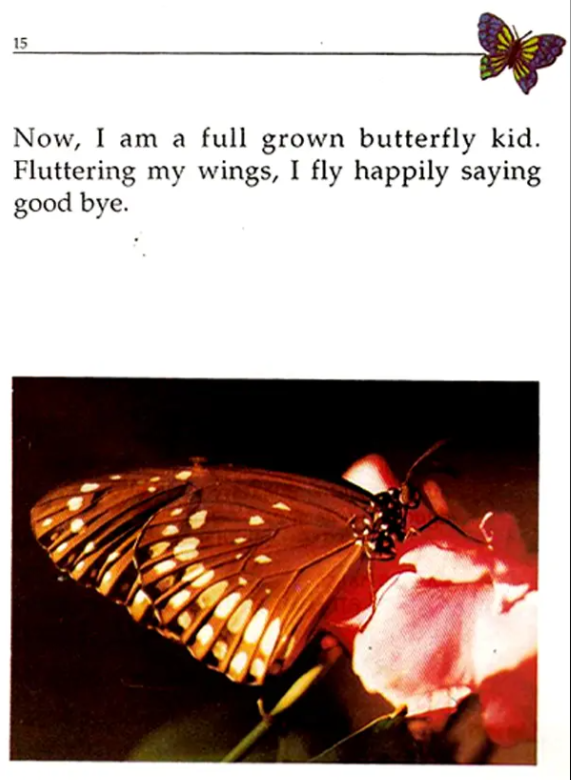 My Life The Tale of Butterfly English