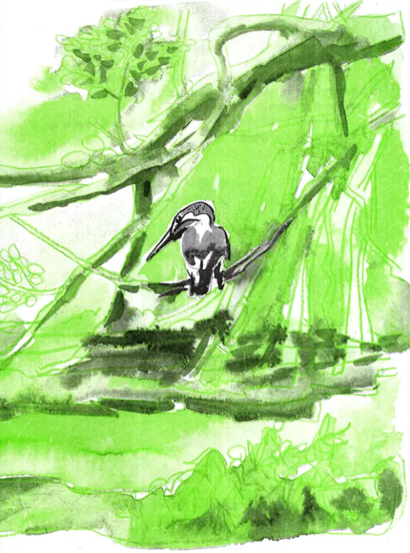 N/Hin The Day The River Spoke