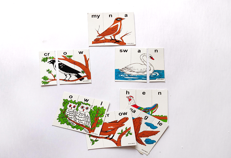 Spell Bird Spelling Puzzle Birds – Vyvic Educational Needs