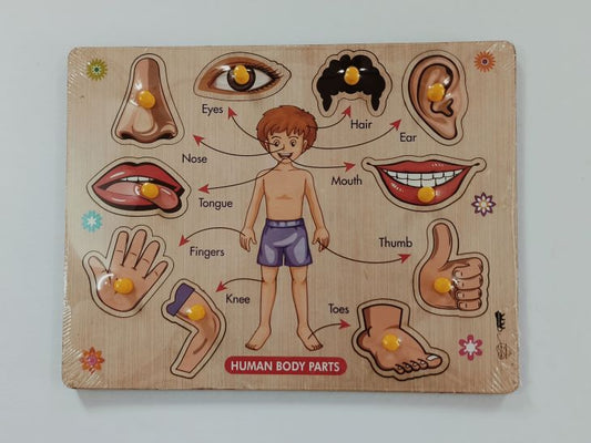 Ht/Parts of the Body inset tray Puzzle - Big