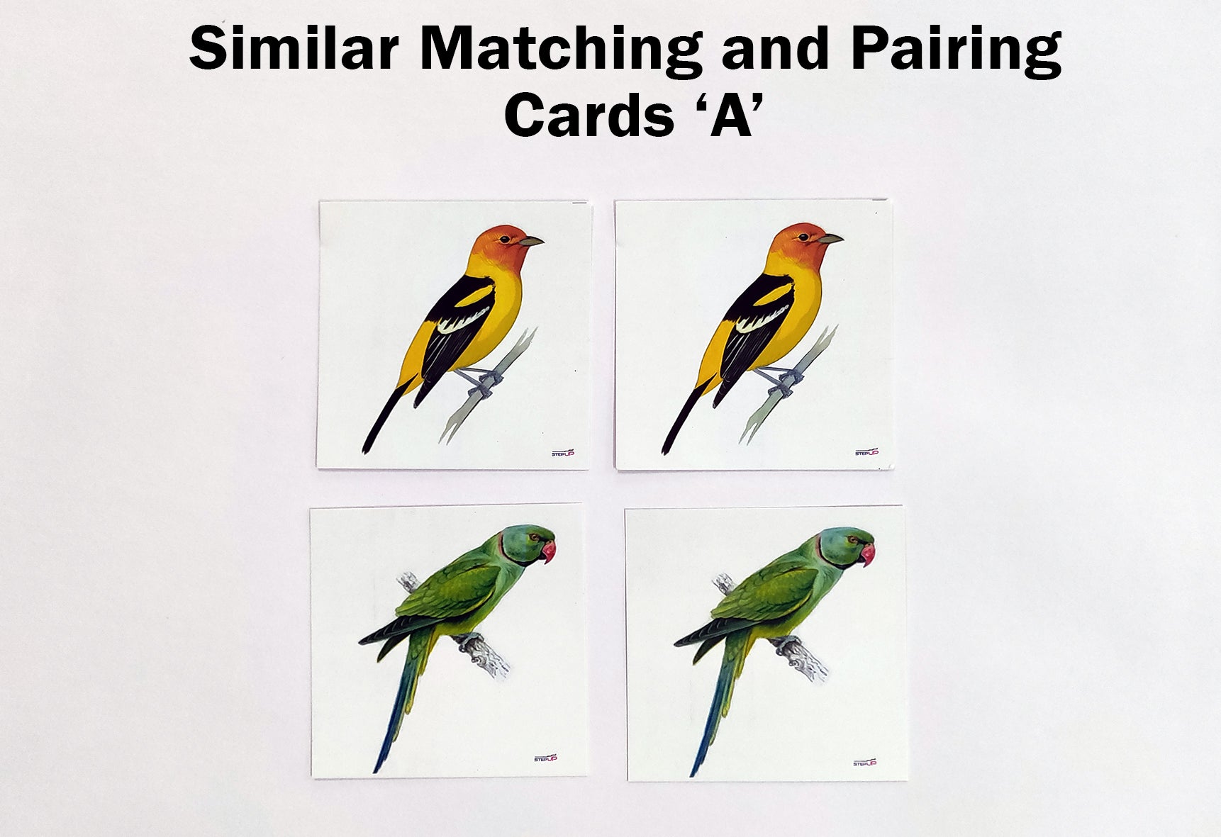 Su/Similar Matching And Pairing Cards Set A Identical Pairing – Vyvic ...