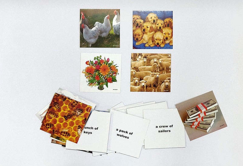 Collective Nouns Flash Cards