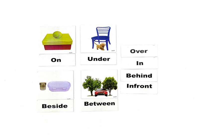 Position Cards – Vyvic Educational Needs