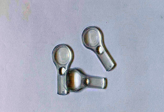 Magnifying Glass Small