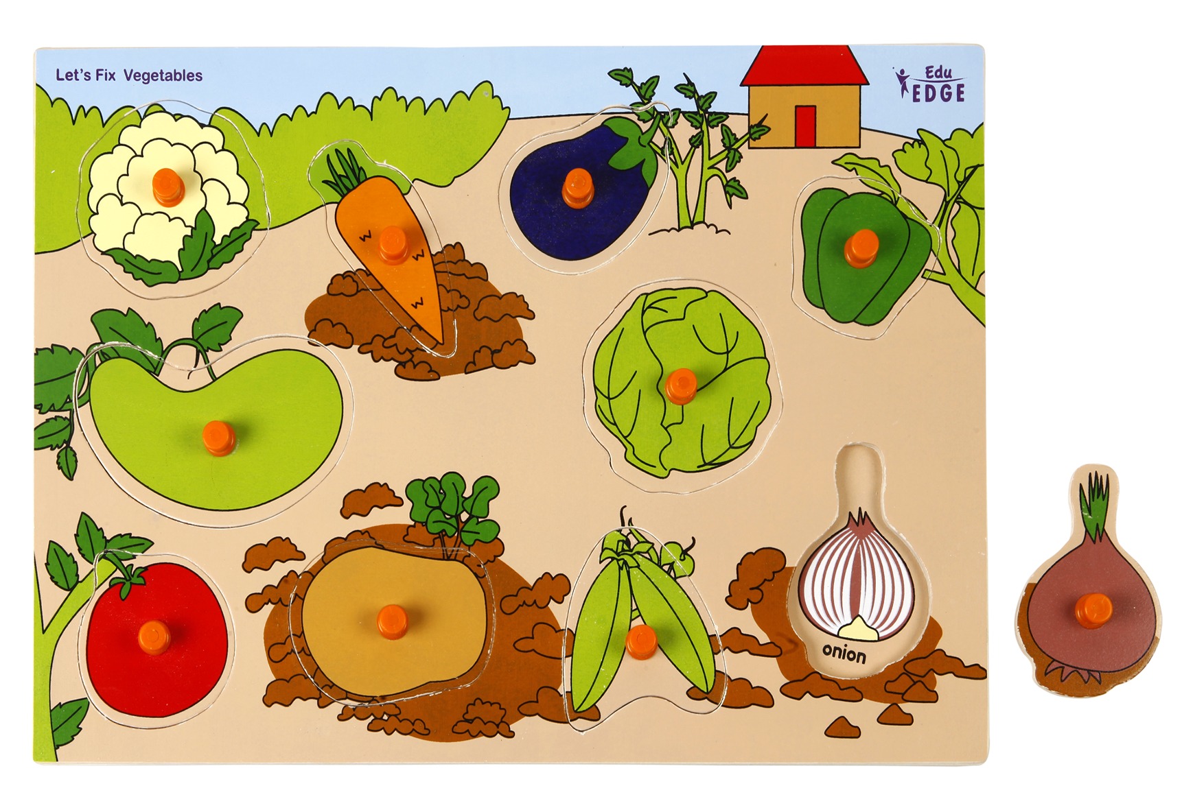 Vr/Inset Tray Vegetable Puzzle – Vyvic Educational Needs