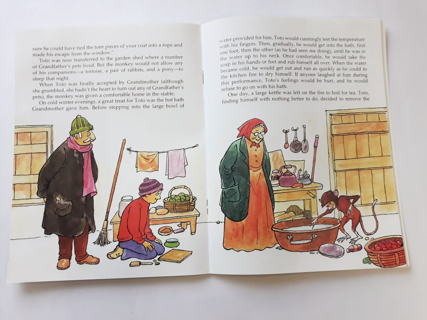 Animals you cant forget English set