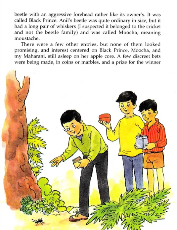 Animals you cant forget English set