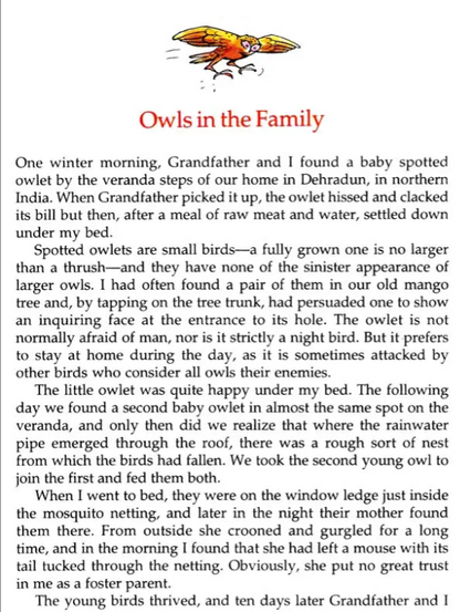 Animals you cant forget English set