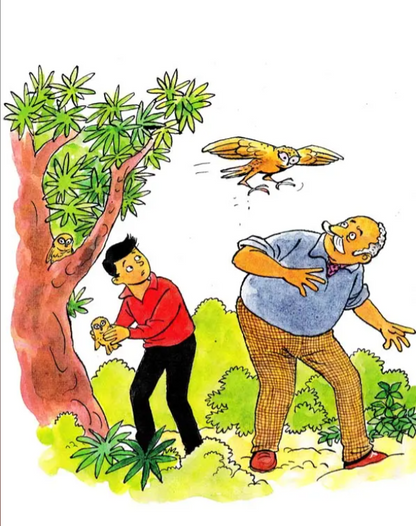 Animals you cant forget English set