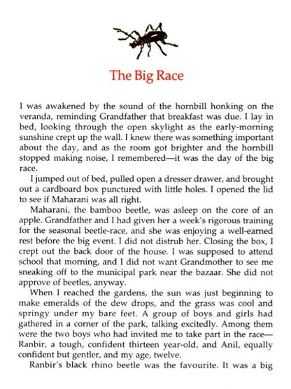 Animals you cant forget English set