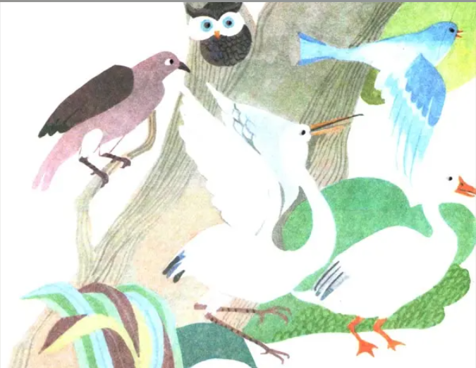 The Beautiful Peacock - Hindi