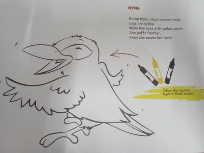 N/Eng Birds Laughing