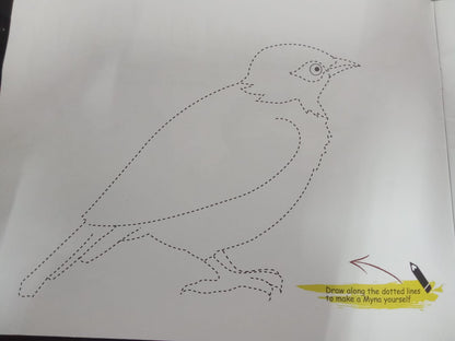 N/Eng Birds Laughing