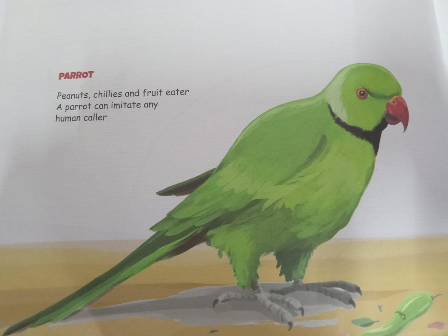 N/Eng Birds Laughing