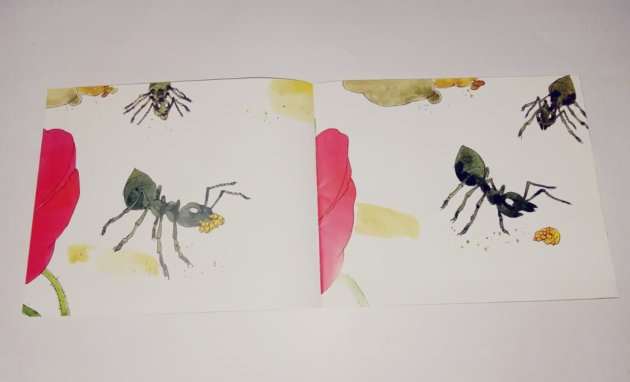 N/Eng Busy Ants 35