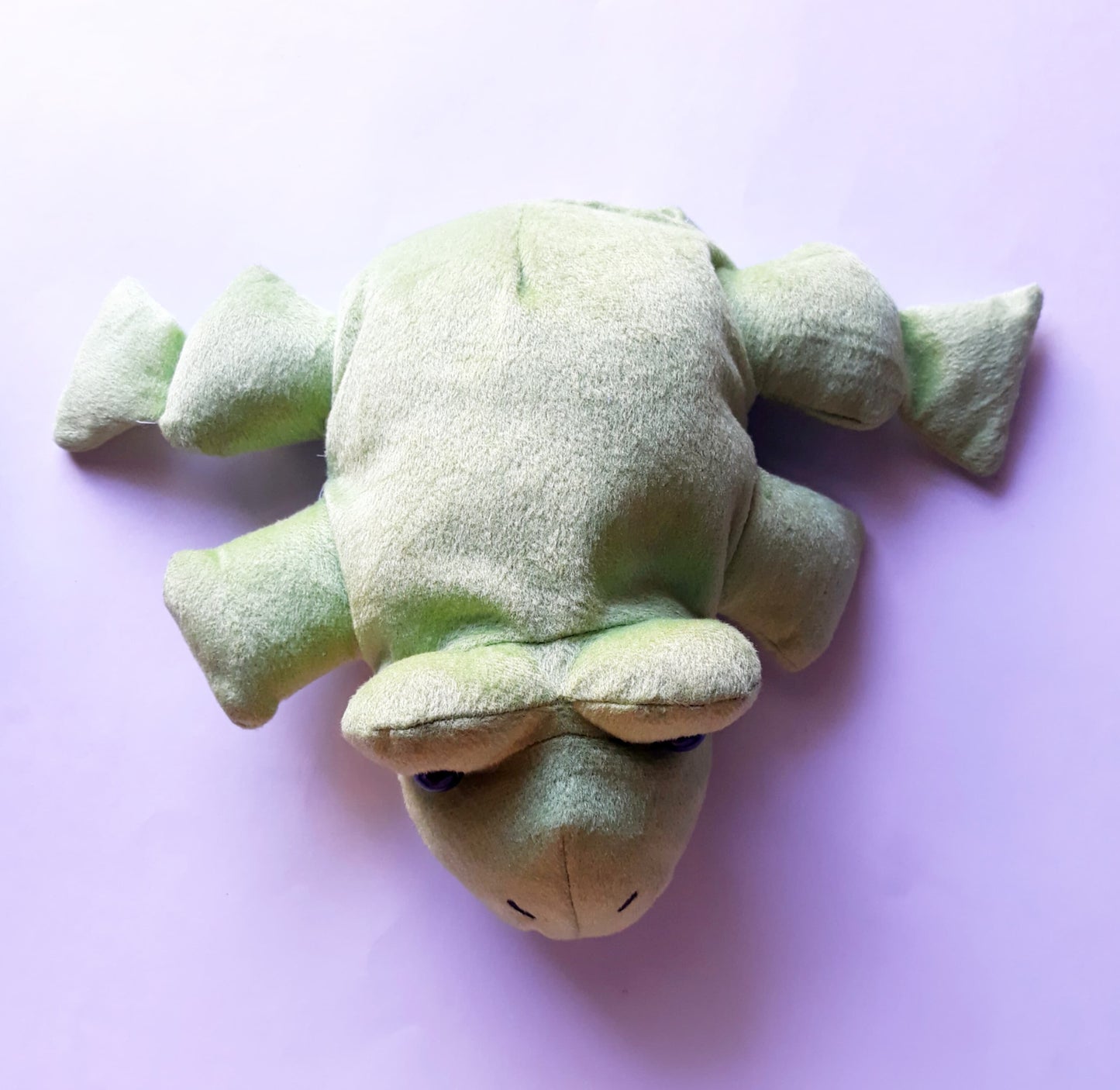 Vr/Glove Puppet Frog