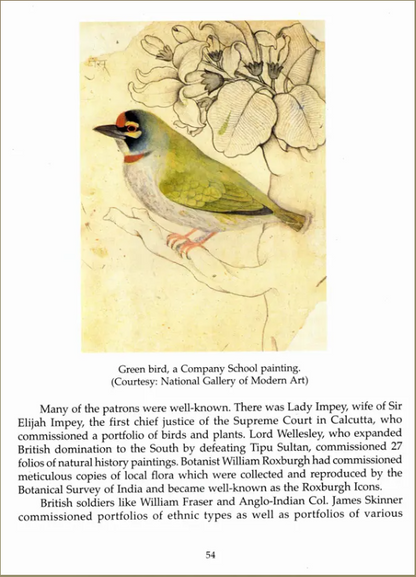 N/Eng Lines And Colours