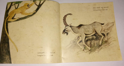 Long and Short Big and Small - Kan Eng