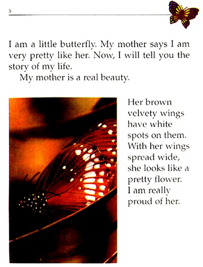 My Life The Tale of Butterfly English