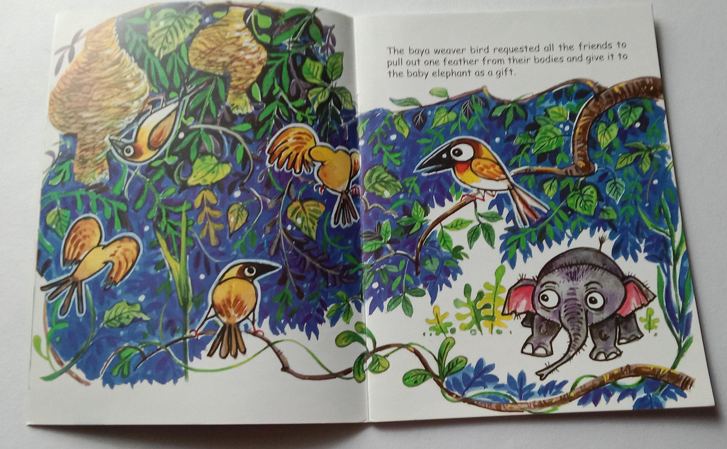 Natures Gift English