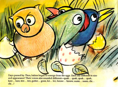 Nine Little Birds English