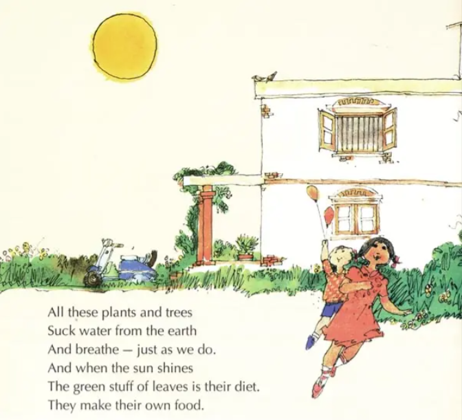 Our Useful Plants English