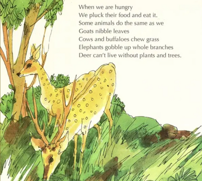 Our Useful Plants English