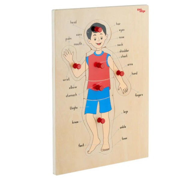 Vr/Parts of the body