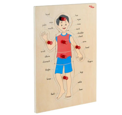 Vr/Parts of the body