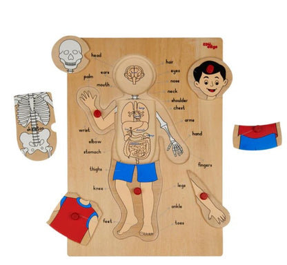 Vr/Parts of the body