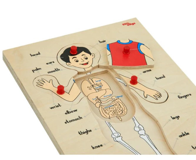 Vr/Parts of the body