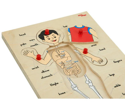 Vr/Parts of the body