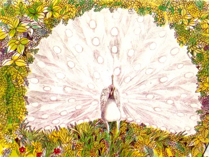 Patterns From Nature English