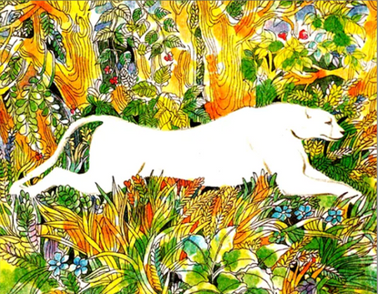 Patterns From Nature English