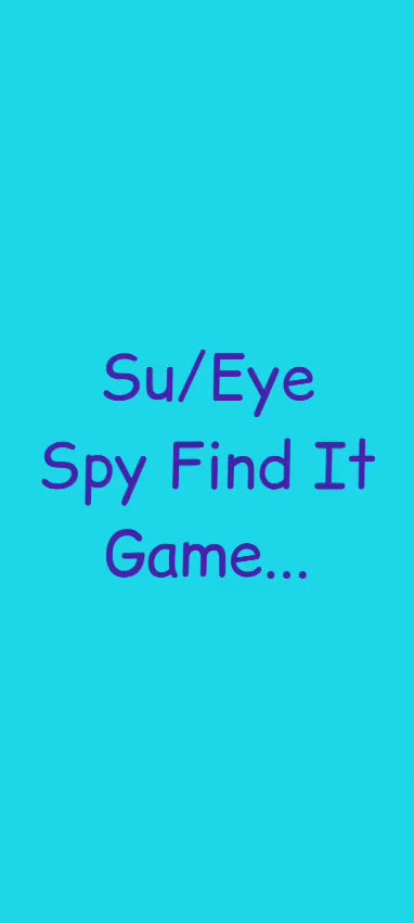 Eye Spy Find It Game