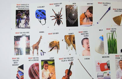 WH Questions Flash cards Find Out What....?