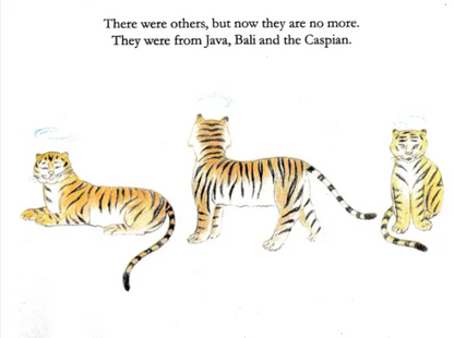 Stripes in the Jungle English