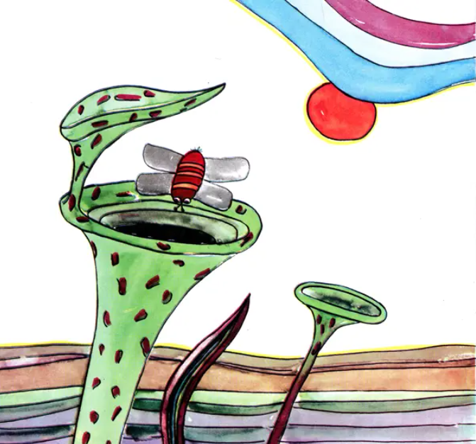 N/Eng The Flower And The Bee