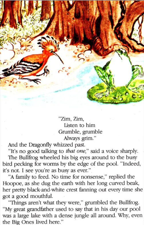 The Pool In The Jungle English