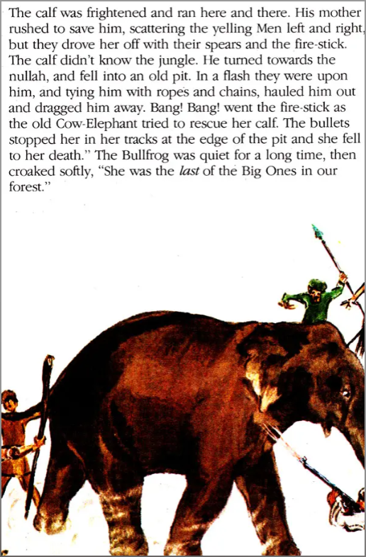 The Pool In The Jungle English