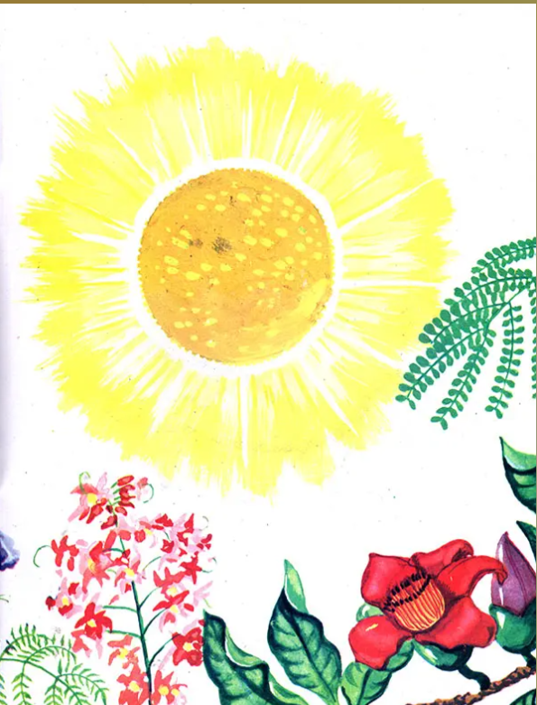 N/Hin The Summer Tree Contest