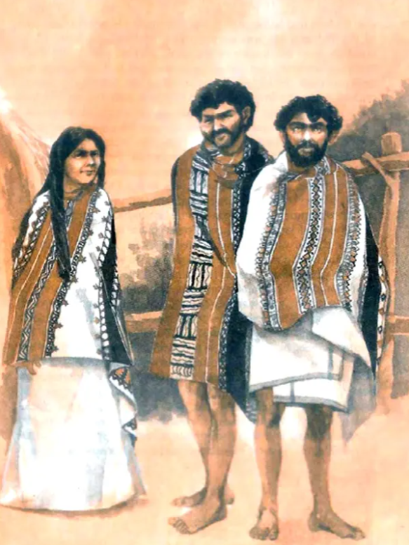 The Toda And The Tahr English