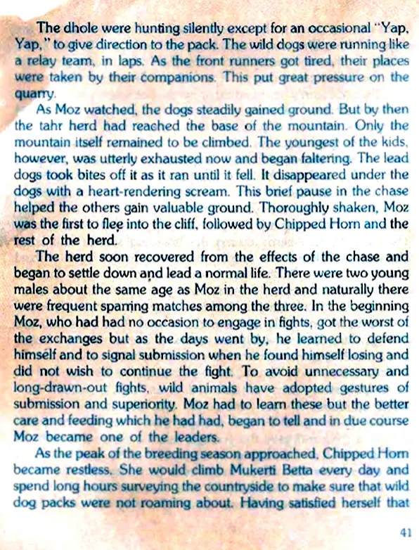 The Toda And The Tahr English