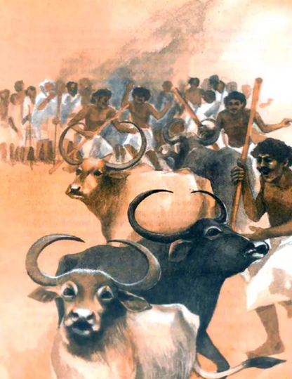 The Toda And The Tahr English