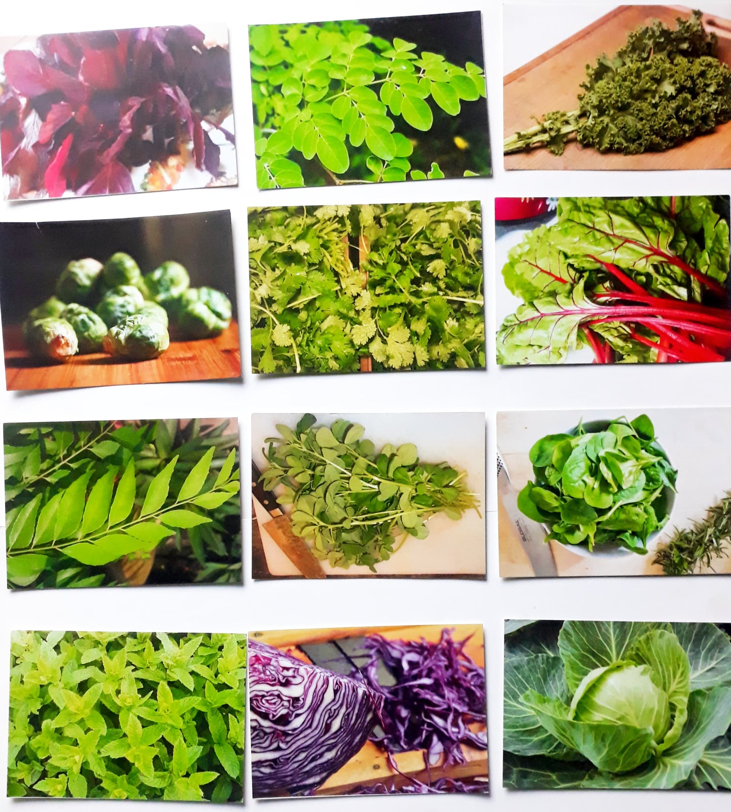 Ed/Vegetable Flash Cards