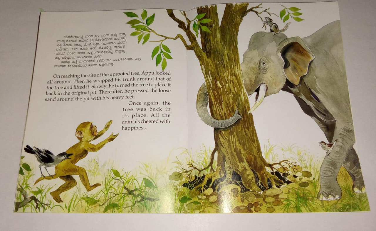 N/Kan Eng What Happened