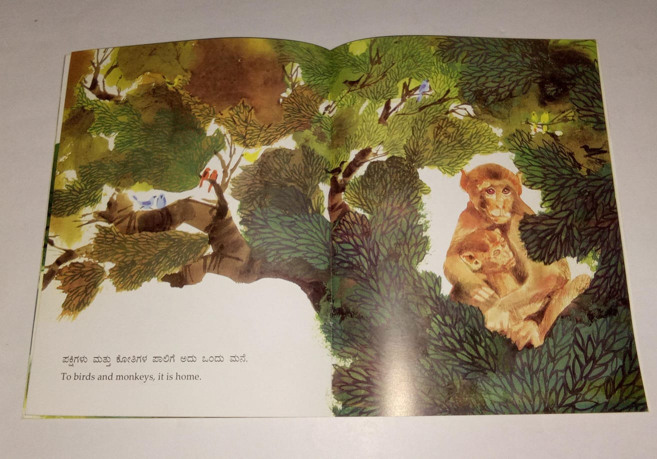 N/Kan Eng What Is A Tree