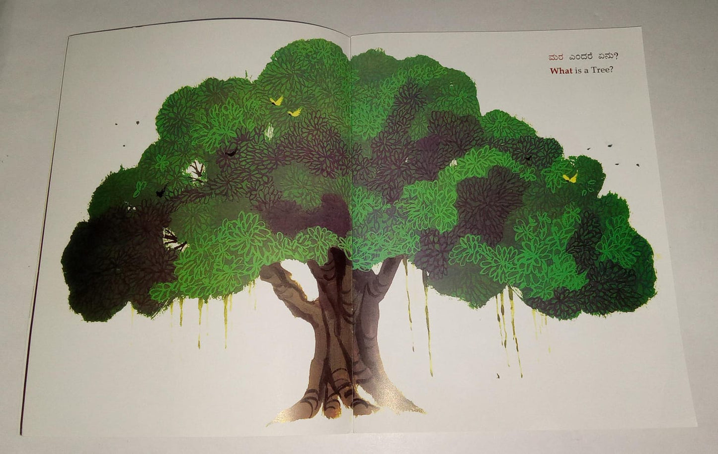 N/Kan Eng What Is A Tree